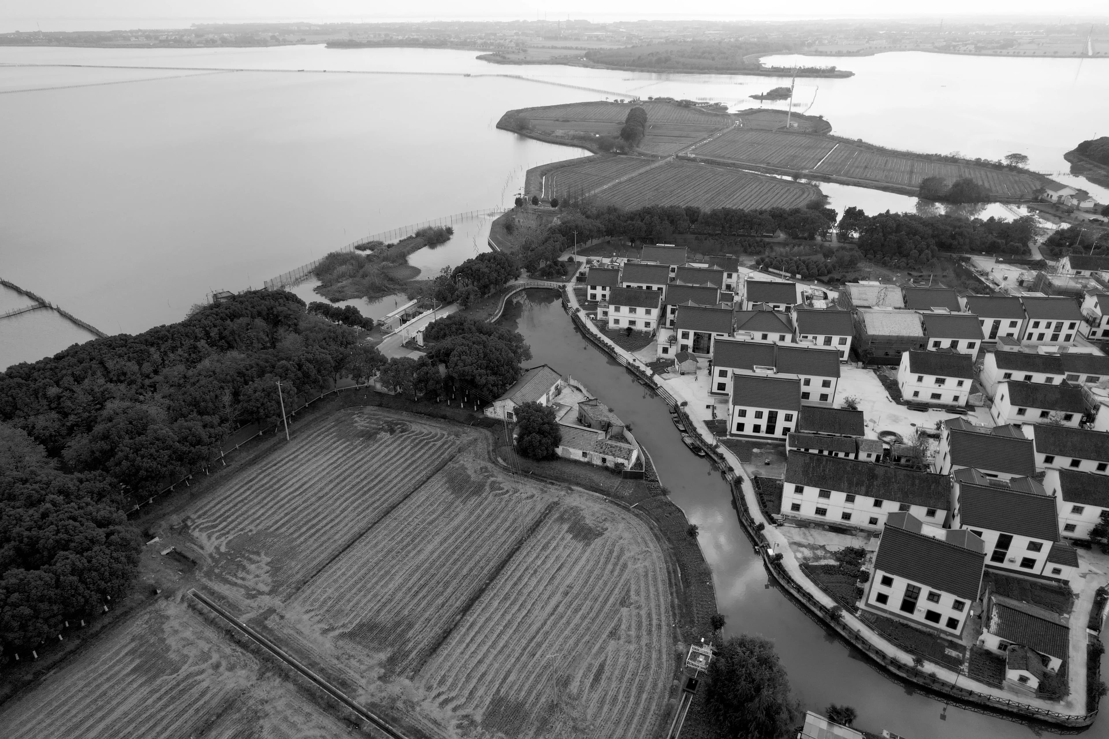 Between the Fields — site