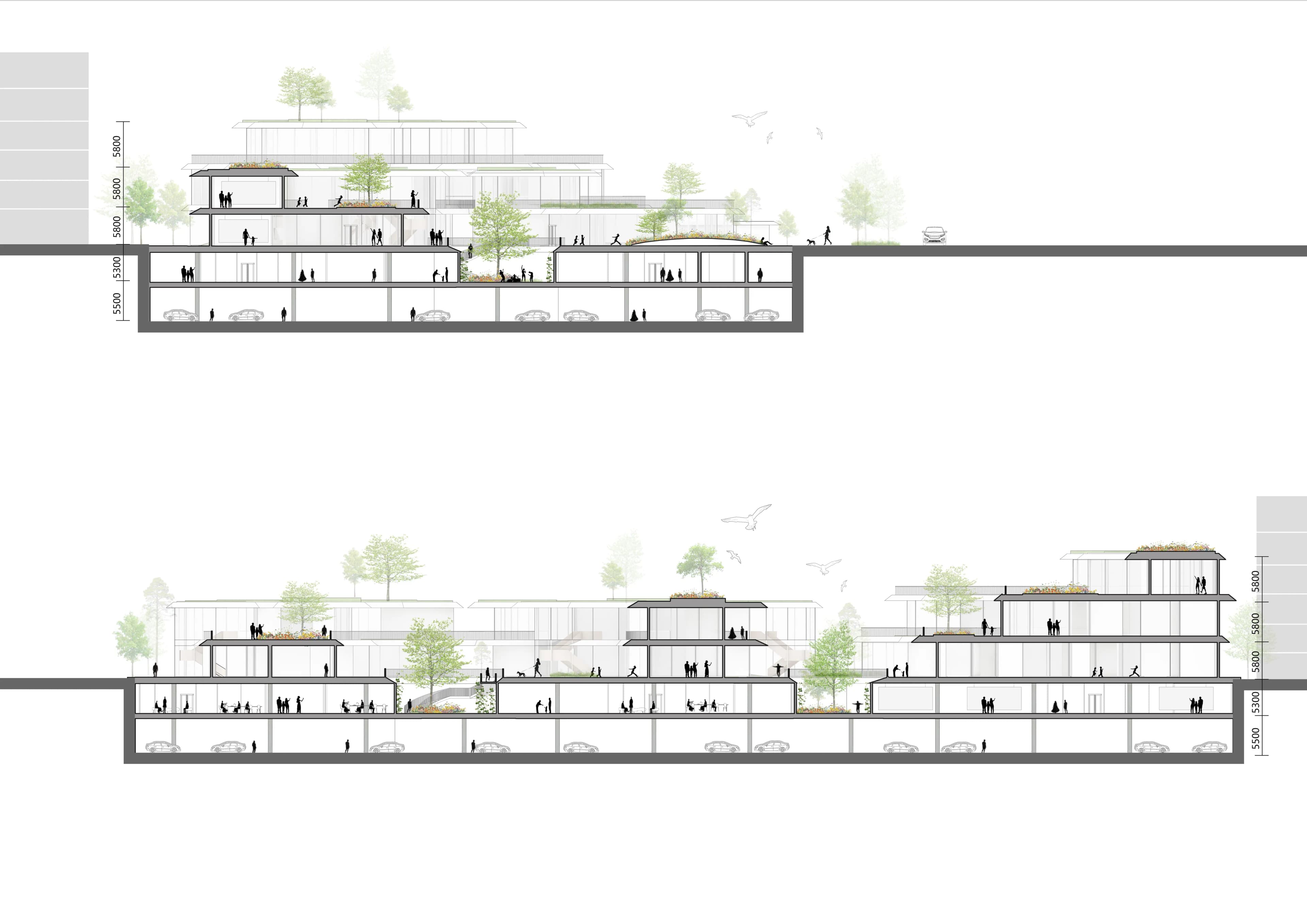 Snowball Blossom Museum — site plan