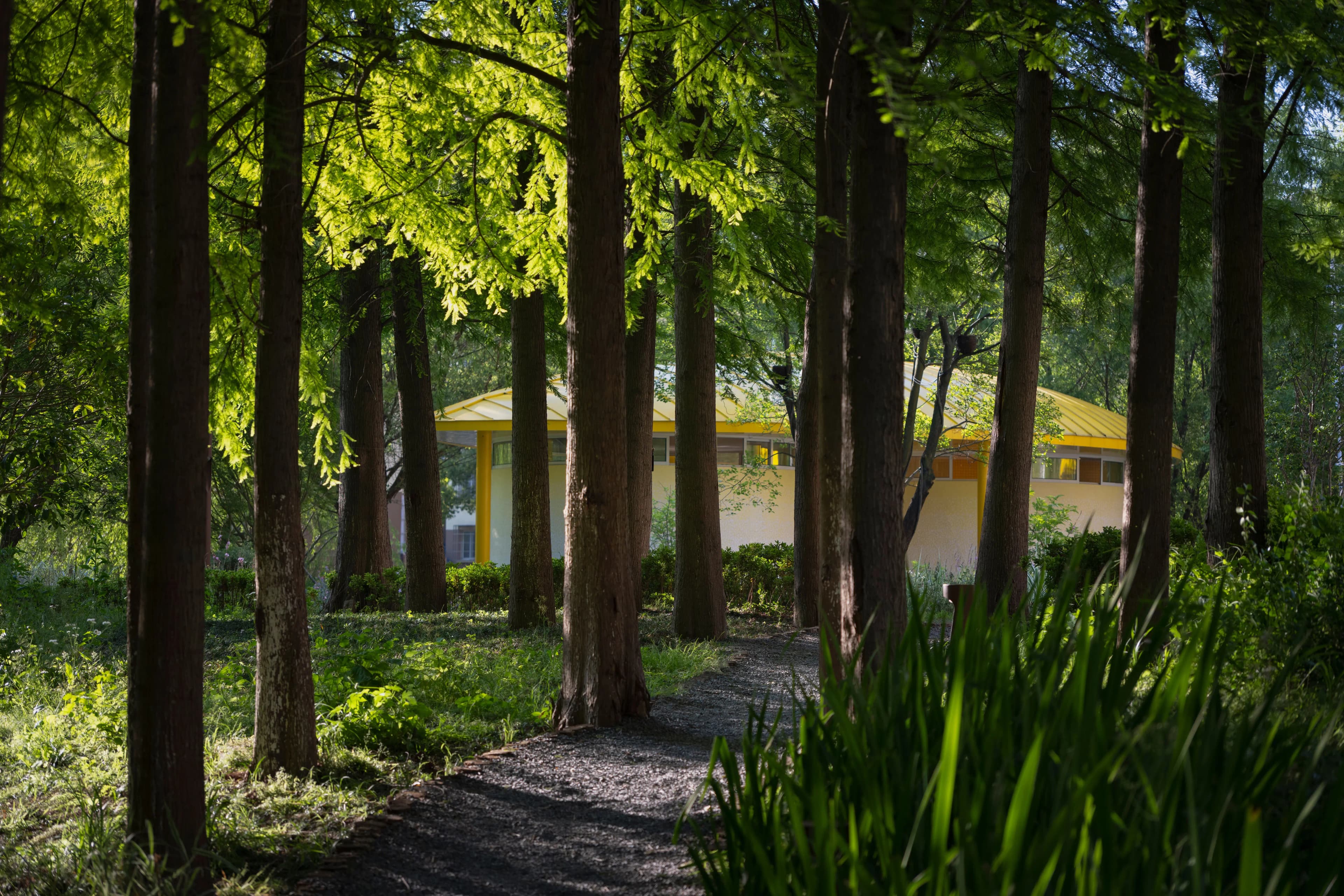 The Orchestra Park — pathway