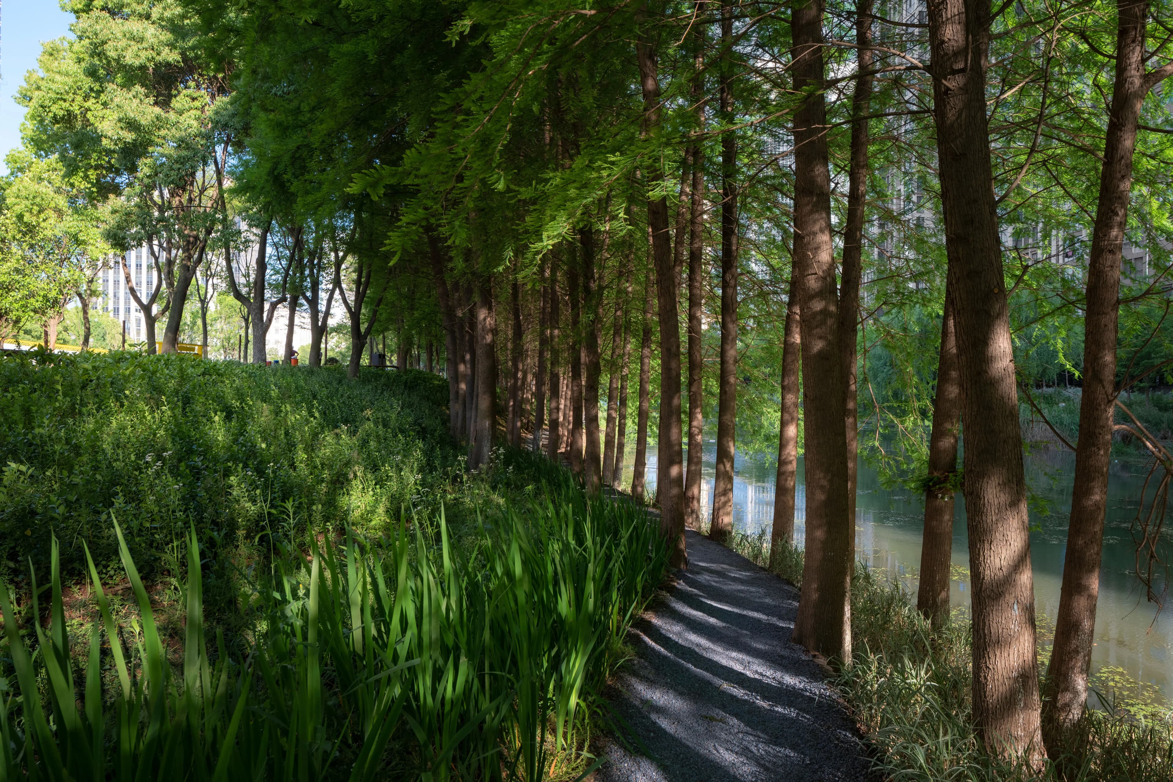 The Orchestra Park — main loop