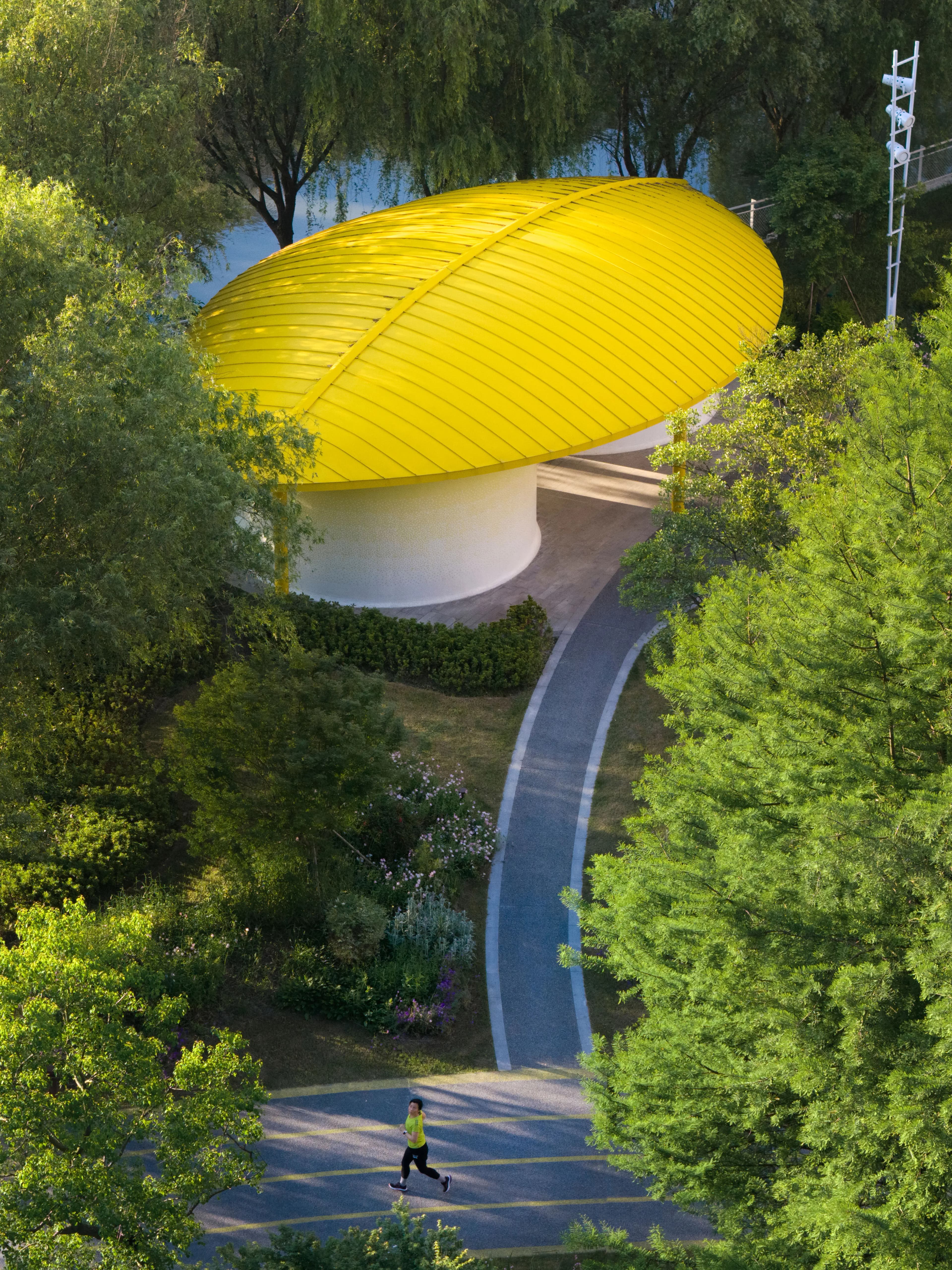 The Orchestra Park — forest path