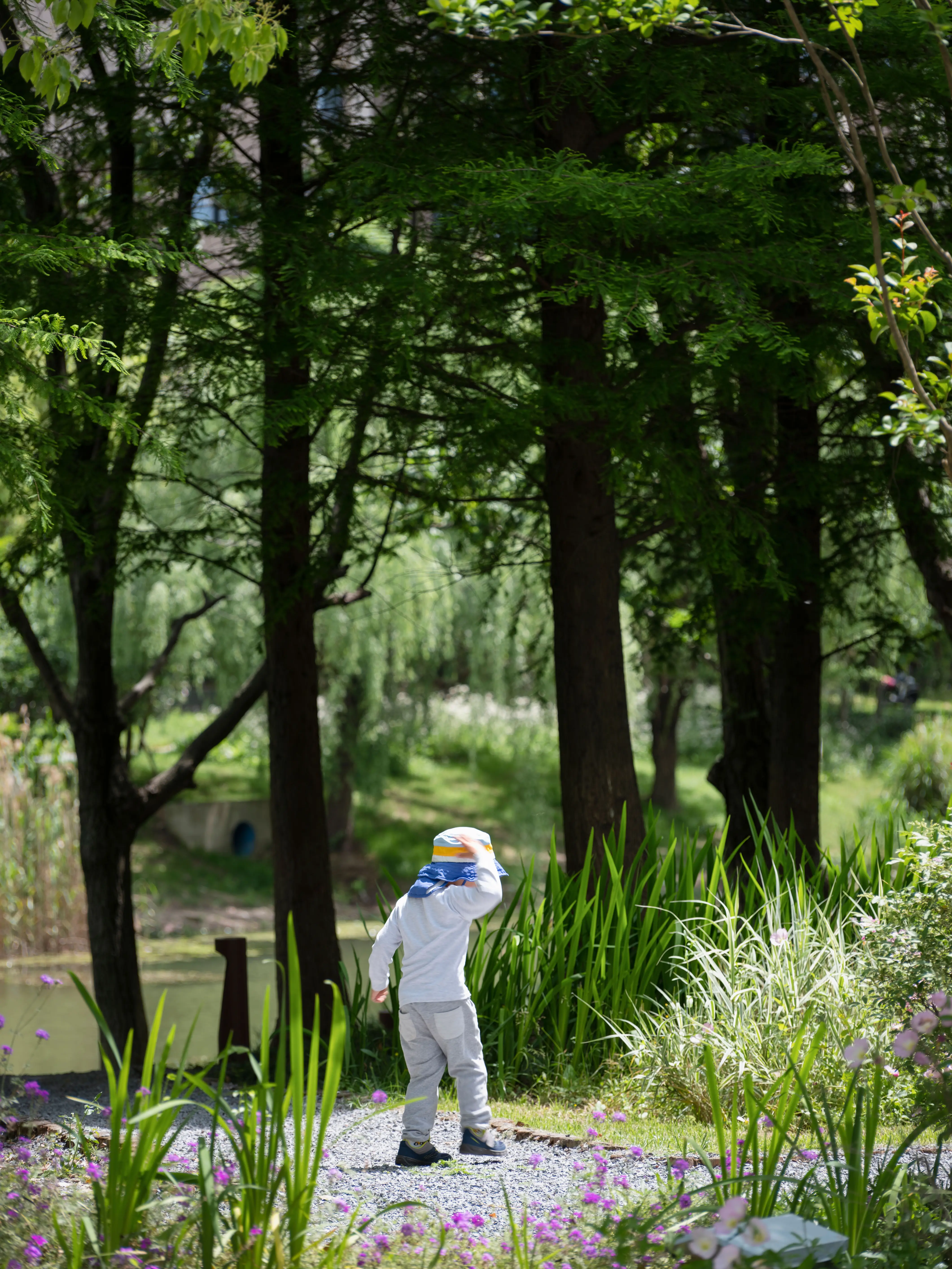 The Orchestra Park — riverbank woodland